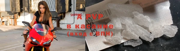 дживик Козельск