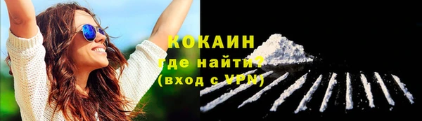 твердый Кинешма