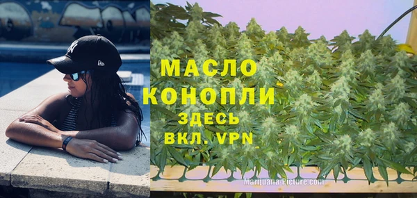 дживик Козельск