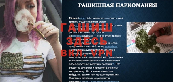 дживик Козельск