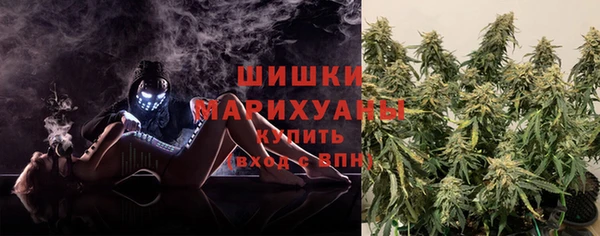 дживик Козельск