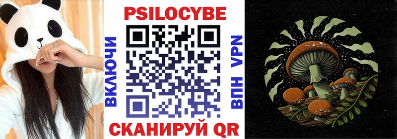 Купить где  Артёмовск  Галлюциногенные грибы мицелий 